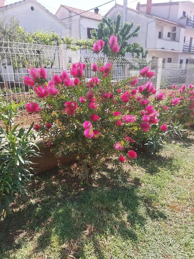 Apartments Star - Free Private Parking Zadar 0*,  Chorwacja